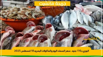 البوري بـ170 جنيه.. سعر السمك اليوم والمأكولات البحرية 18 أغسطس 2025